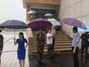 拍摄者报道：雨中，长沙一小学学生独行过桥洞：‘安全第一’