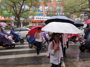 拍摄者报道：雨中，长沙一小学学生独行过桥洞：‘安全第一’