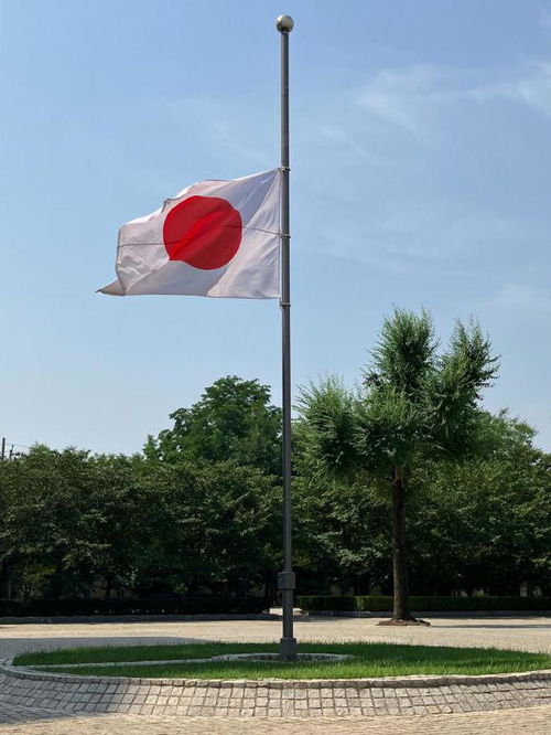 日本驻华大使馆降半旗悼念胡友平女士的大义之举，向其敬仰与感谢致敬！