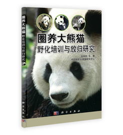 全球首例：中国积极推进圈养繁育与野化放归，让大熊猫从“掌上明珠”走向自然生活