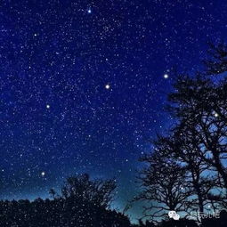 夏日仰望星空：探索‘天问·星空下’的未知世界