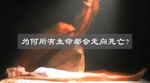 重审视死亡：为何宇宙万物必须走向灭亡？