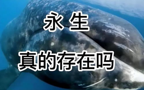 重审视死亡：为何宇宙万物必须走向灭亡？