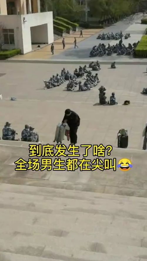 14岁少年的武校噩梦：一段坚韧与成长的挣扎之路