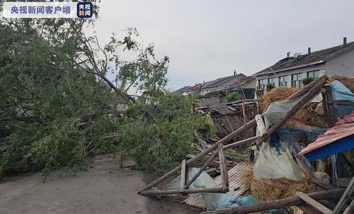 山东东明：遭遇龙卷风致1死79伤