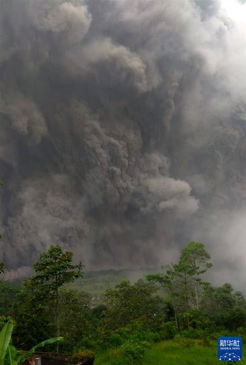 印尼塞梅鲁火山爆发：壮观的火山灰柱高度超过1000米