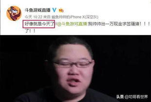 PDD要回归？官方确认将在不久后重新开播，不再局限于斗鱼平台。

告别斗鱼，PDD又要回归啦！