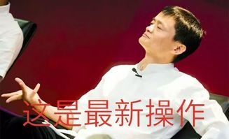 未知父亲面世！白晓荷儿子的身世秘密揭开：谁也没有想到