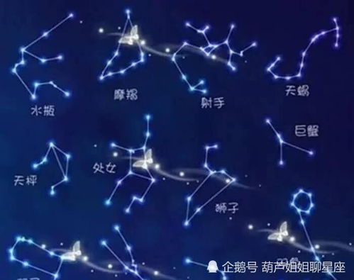 2024年7月14日十二星座每日运势：闹闹女巫的精彩瞬间