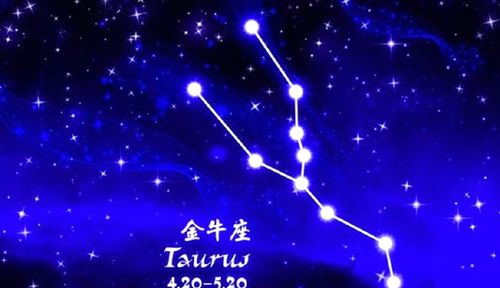 2024年7月14日十二星座每日运势：闹闹女巫的精彩瞬间