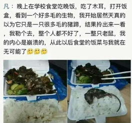 成都一家餐厅引发关注：外卖疑遭吃出整只老鼠，引网友热议