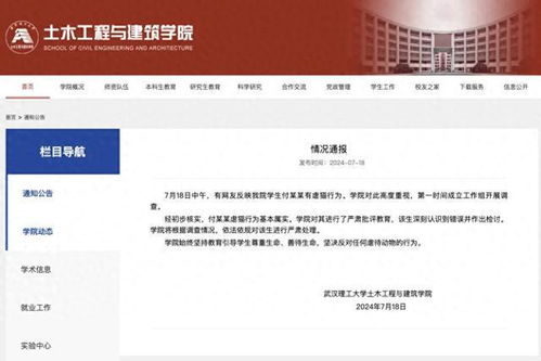 武汉理工大学官方回应：学生虐猫事件真实存在，已启动调查，并严肃处理相关人员