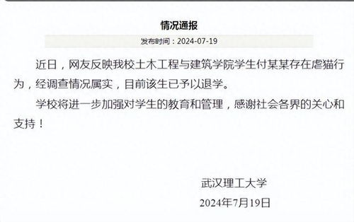 武汉理工大学再通报学生虐猫事件，已终止校园欺凌行为，武汉理工大学做出重要决定