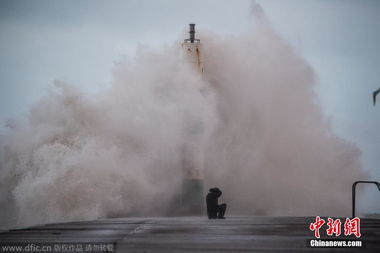 电影《龙卷风》上映，深入了解这场狂风巨浪中的神秘力量