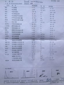 5岁男童出院记录被标“已婚”，工作人员：应该写错了，会反馈医生