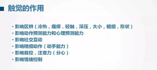 明白：为什么孩子的行为有时不符合你的期望？——理解并解决 ADHD 症状的家庭指南