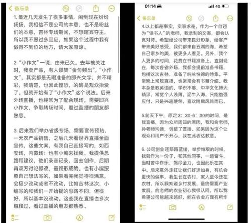 饭圈文化揭秘：东方甄选与董宇辉分手真相揭示