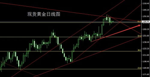 美大选临近：哈里斯曝光政治野心，中美关系紧张态势升级