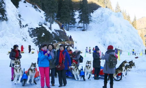 游客在天山大峡谷过夜后疑似突发疾病，官方已公布最新进展