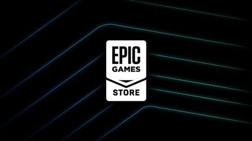 Epic Games CEO批评苹果的「查找」功能：侵犯用户隐私，不应存在