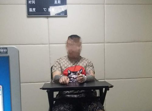 男子七载转账百万元却从未见过女友，女子因诈骗罪入狱十年半