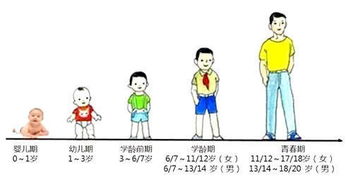 网上学知识，家长深度参与《我和孩子一起直面青春期成长的困扰》