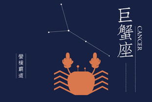 2024年的最佳星座：提升运势，迎接更好的未来