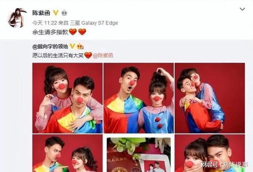 戴向宇否认曾涉及性行为：陈紫函回忆不清老婆生日，引发网友热议