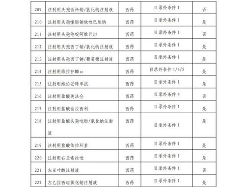 2024年医保目录调整初审名单公布：新药审批进度迅速，Car-T疗法已全面开花