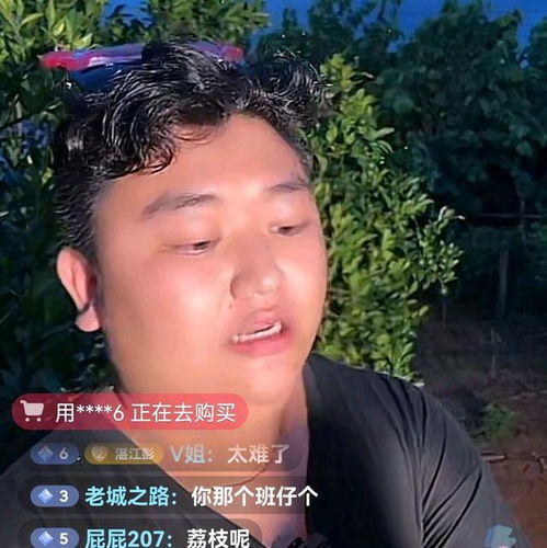 全红婵哥哥在线直播卖水果：普通职业的普通人也能成功