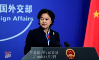 中国外交部明确表示，支持巴基斯坦在经济发展、民生改善和金融稳定方面进行努力