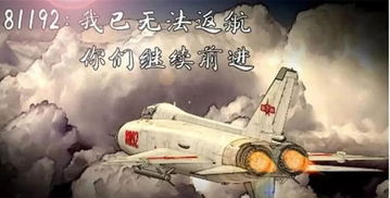 铁翼之上：无畏挑战，我握钢枪守护领空鹰眼