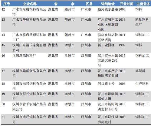 湖北的公司名称