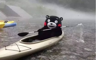 阿里巨轮即将翻覆：暴风雨前的平静需要多加几斤粮食