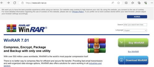真假WinRAR域名之争：权威官方网站与非法网站的对比分析