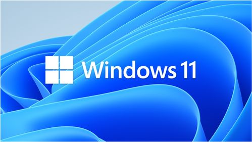 微软酝酿重大更新：未来Windows 11或可整合在Win10账户管理器中