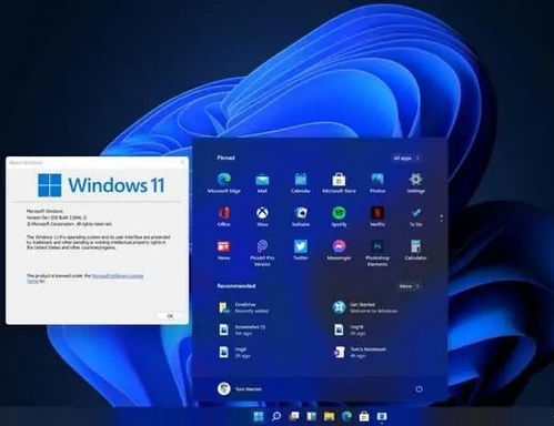 微软酝酿重大更新：未来Windows 11或可整合在Win10账户管理器中