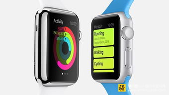 Apple Watch创新十年：汇集苹果智能，值得期待的更新即将发布