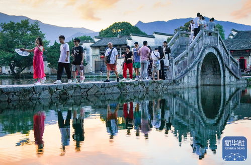 清凉夏日：探访历史与自然交织的沈园美景