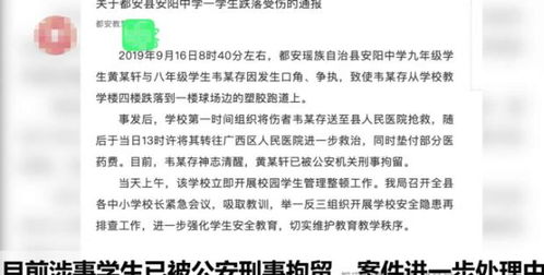 家长最新发声：学生退学摆摊10天赚万元，目的并非效仿而是生活体验