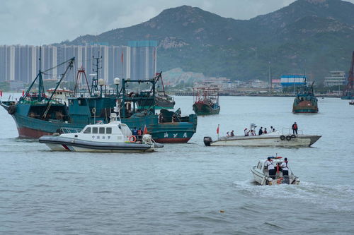 知名浙企疑遭大规模海上执法，百万资产或被神秘夺走！

海洋风暴下的浙企疑案：巨额财产或一夜消失的海上秘密行动？

海岛渔市的纷争背后：百年老厂疑遭重击，上亿资产泡影尽显？