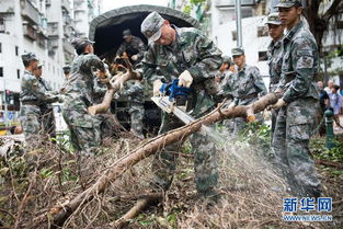 习近平对海南广东等地台风灾害作出重要指示 要求抓紧组织力量救灾 切实保障人民群众生命财产安全