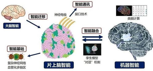 脑机接口首位植入者回顾与大脑芯片共生的历程：艰难且重启的人生经历