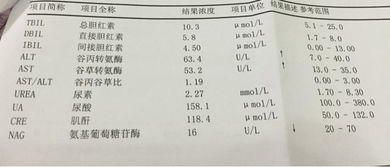 谷丙转氨酶偏高的危害：你需要了解的几个要点