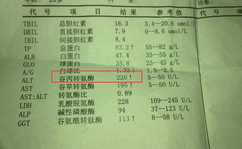 谷丙转氨酶偏高的危害：你需要了解的几个要点