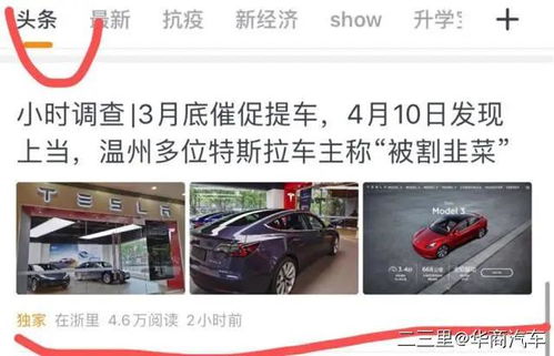 网上曝出46万买到被水淹的车，品牌方与消费者权益如何保障？