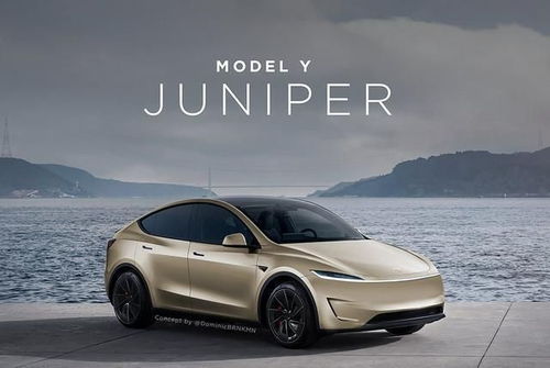 七天内，五大国产新车冲击特斯拉Model Y：一场中国品牌的围剿之战