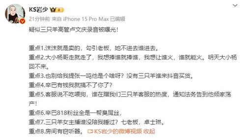 卢文庆录音曝光：七老板、卓仕琳报警，三只羊全员行动应对可能危机