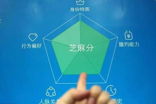 支付宝：坚信‘大力出奇迹’的网络工具，带你体验极致便捷