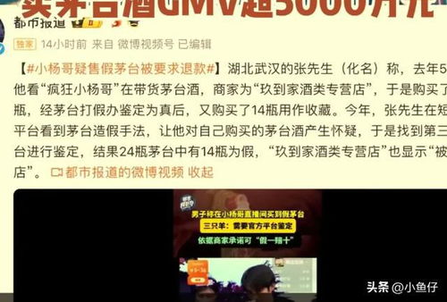 小杨哥掉粉300余万，头部账号再复播却面临停播危机！